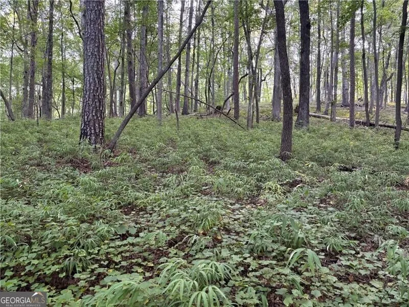 LOT 13 Norton Trail Dahlonega, GA 30533