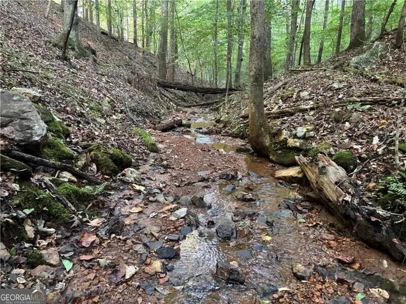 LOT 13 Norton Trail Dahlonega, GA 30533