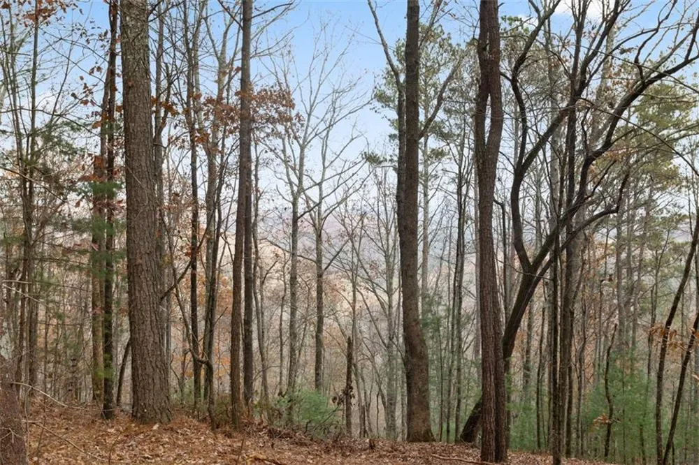 172 Hunter Drive Talking Rock, GA 30175