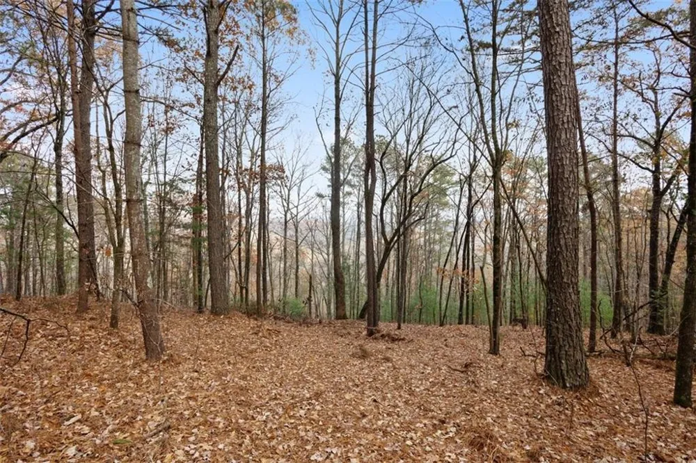 172 Hunter Drive Talking Rock, GA 30175
