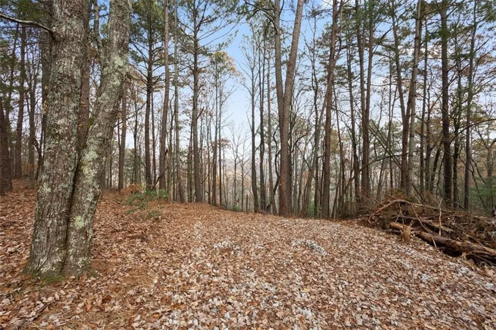 172 Hunter Drive Talking Rock, GA 30175