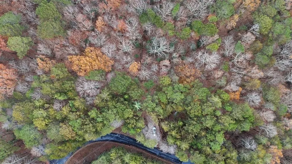 172 Hunter Drive Talking Rock, GA 30175
