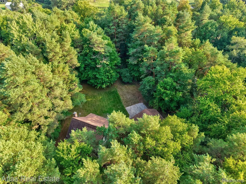 12043 Kipp Road Atlas Township, MI 48438