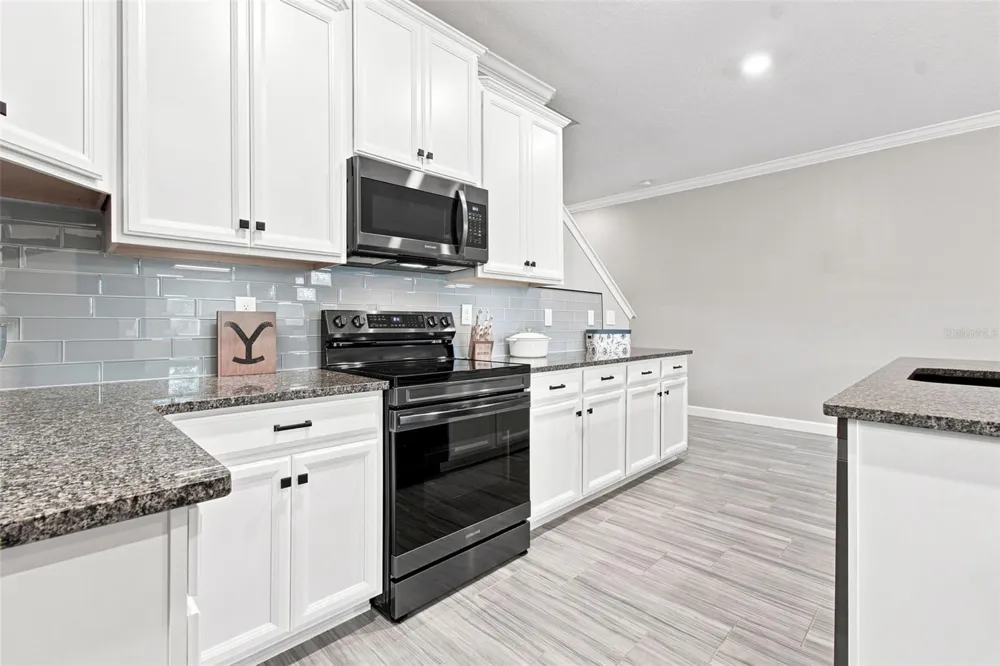 2213 CERULEAN SKY DRIVE Lutz, FL 33558