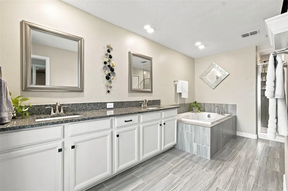 2213 CERULEAN SKY DRIVE Lutz, FL 33558