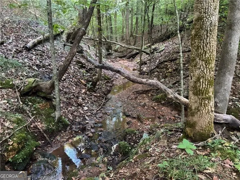 LOT 8 Norton Ridge Dahlonega, GA 30533