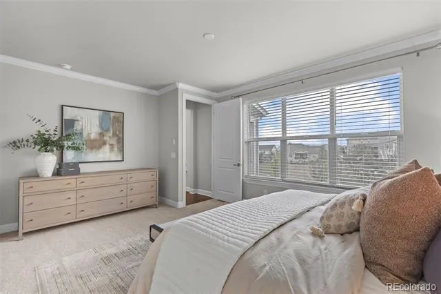 22463 E Mosey Circle Parker, CO 80138