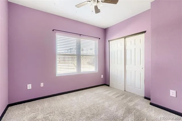 503 Lucca Drive Evans, CO 80620