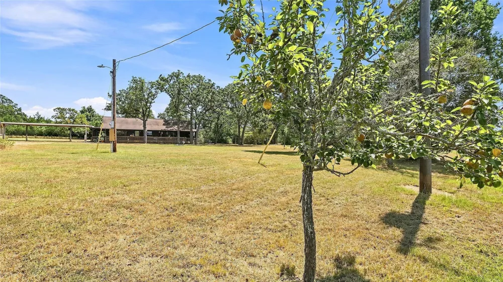 4797 County Road 416 Somerville, TX 77879