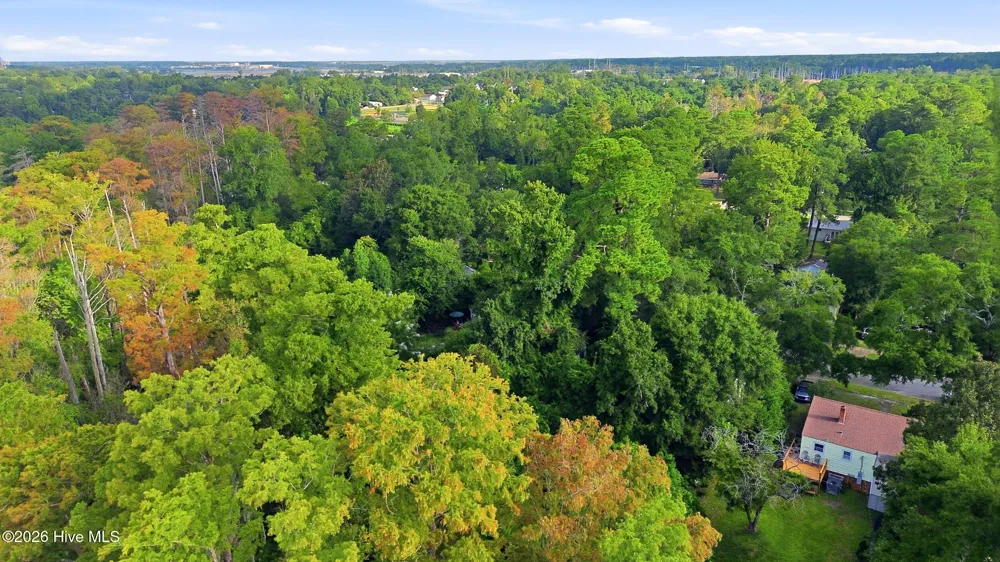 2018 Klein Road Wilmington, NC 28405