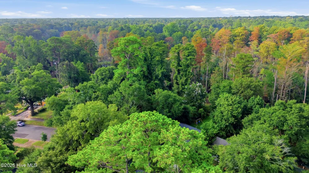 2018 Klein Road Wilmington, NC 28405