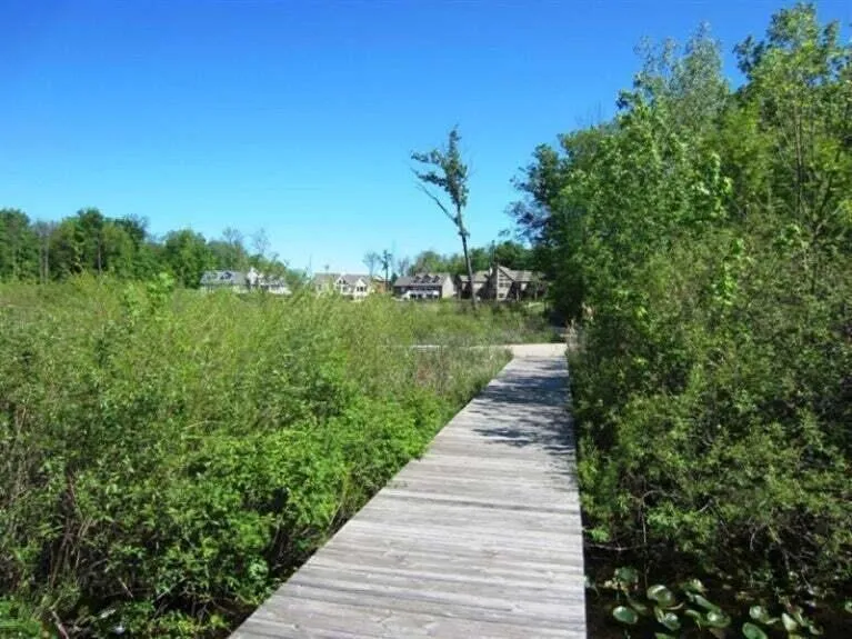 8589 Heron Court Watervliet Township, MI 49098