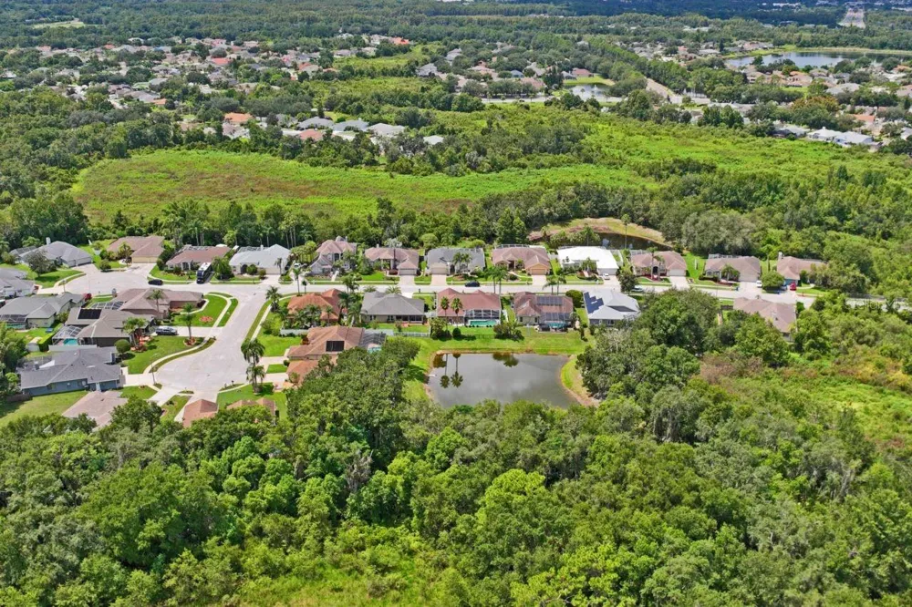 23218 CYPRESS TRAIL DRIVE Lutz, FL 33549