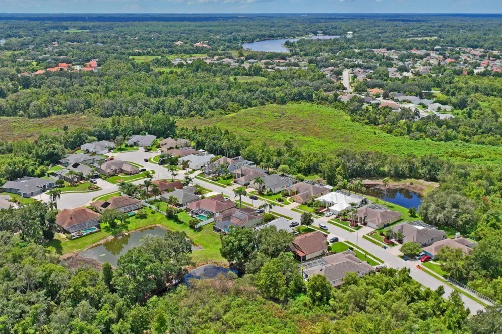23218 CYPRESS TRAIL DRIVE Lutz, FL 33549