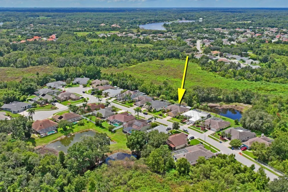 23218 CYPRESS TRAIL DRIVE Lutz, FL 33549