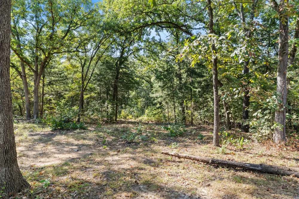 211 David Crockett Trail Honey Grove, TX 75446