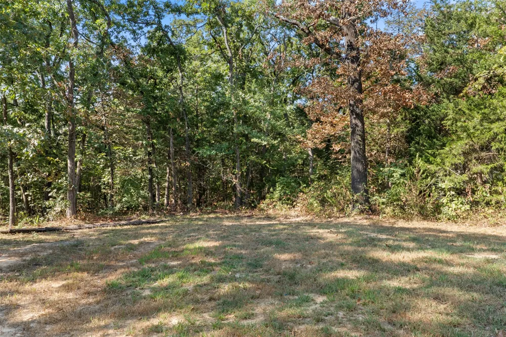 211 David Crockett Trail Honey Grove, TX 75446