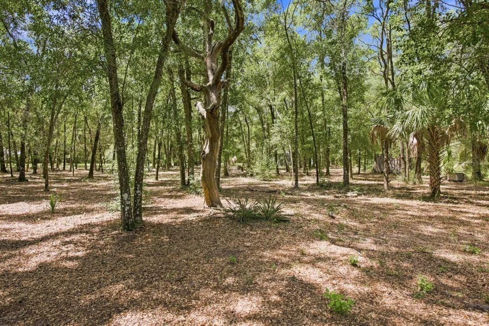 3624 S SUSAN POINT Inverness, FL 34452