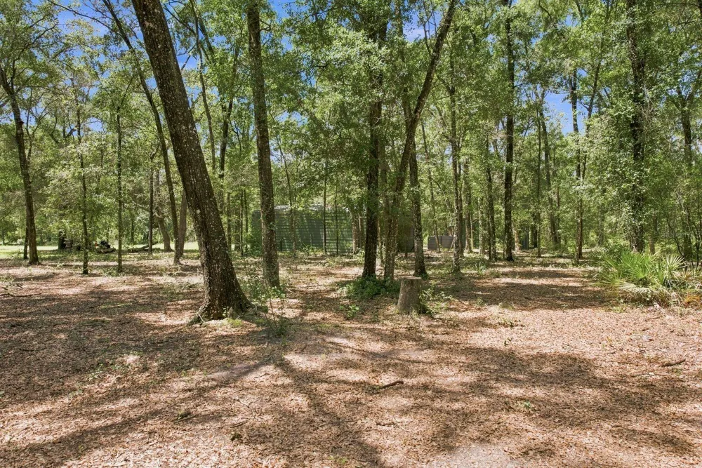 3624 S SUSAN POINT Inverness, FL 34452