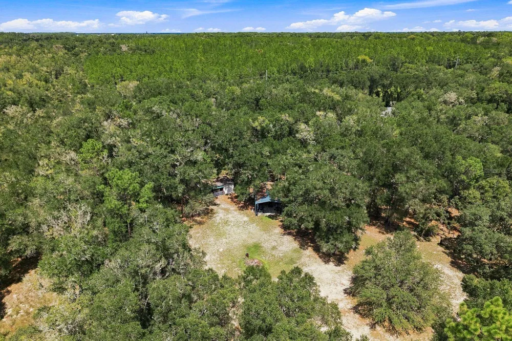 3624 S SUSAN POINT Inverness, FL 34452