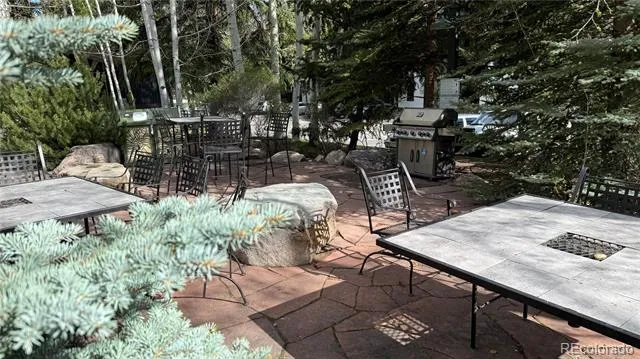 4650 Vail Racquet Club Drive #8 Vail, CO 81657