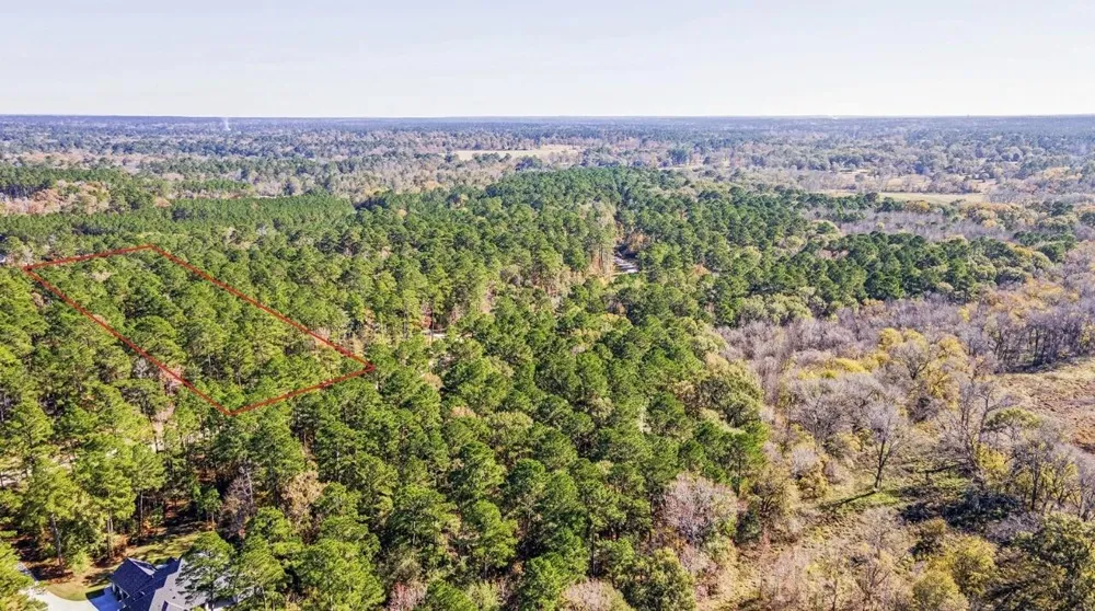 14 Sandpiper Drive New Waverly, TX 77358