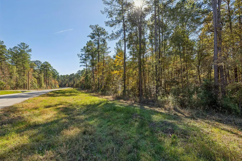14 Sandpiper Drive New Waverly, TX 77358