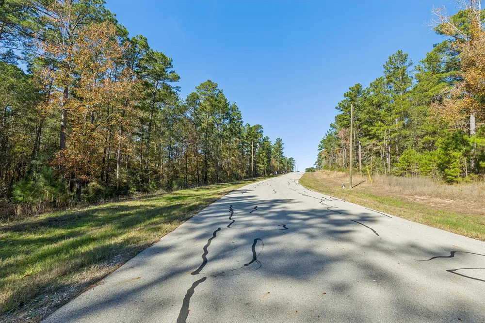 14 Sandpiper Drive New Waverly, TX 77358