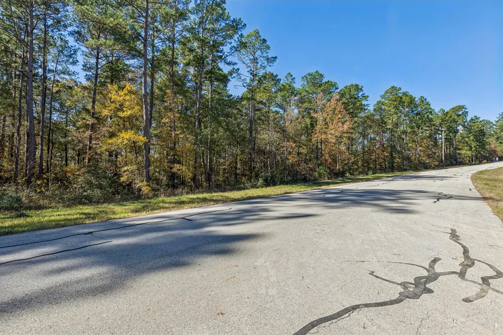 14 Sandpiper Drive New Waverly, TX 77358