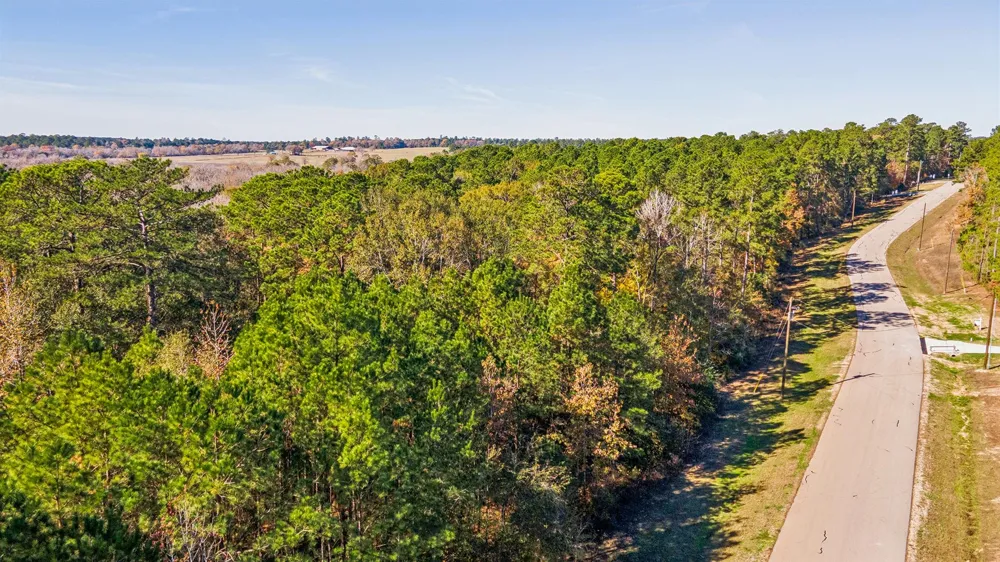14 Sandpiper Drive New Waverly, TX 77358