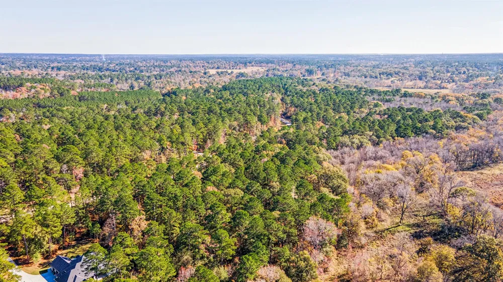 14 Sandpiper Drive New Waverly, TX 77358