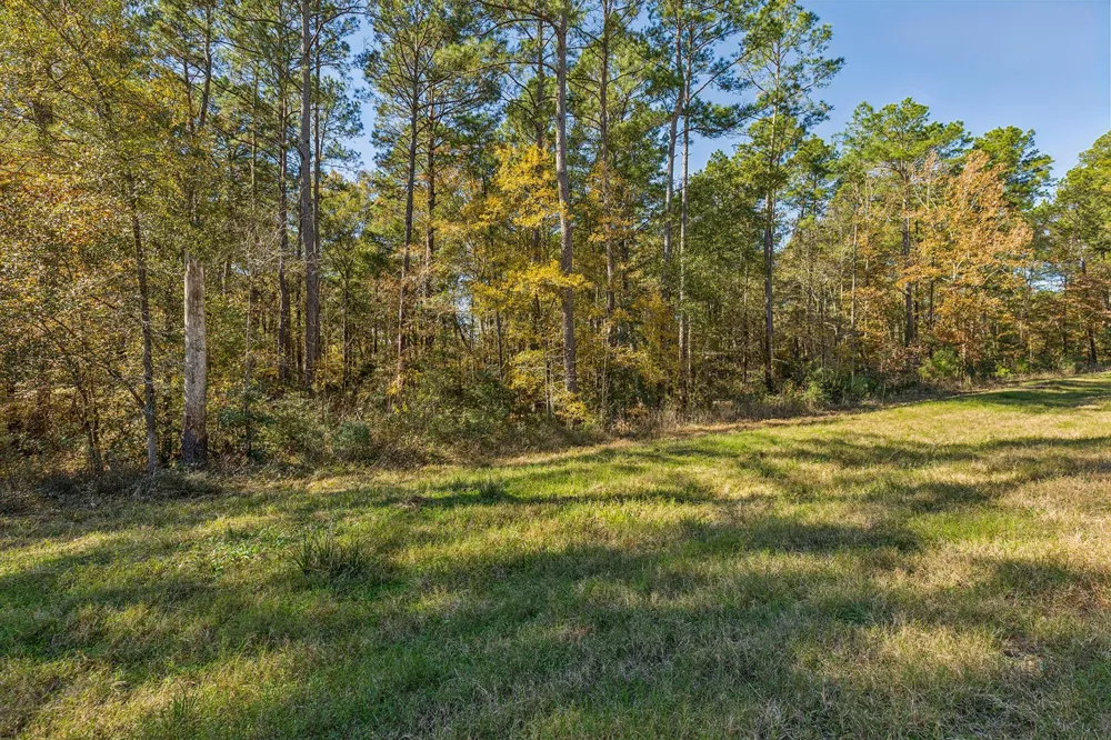 14 Sandpiper Drive New Waverly, TX 77358