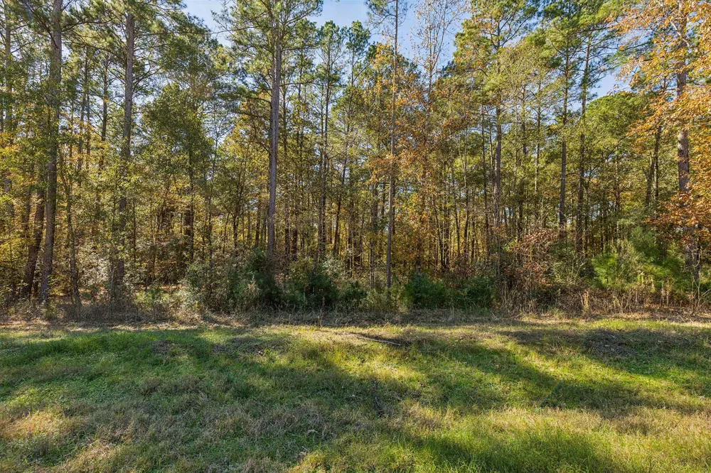 14 Sandpiper Drive New Waverly, TX 77358