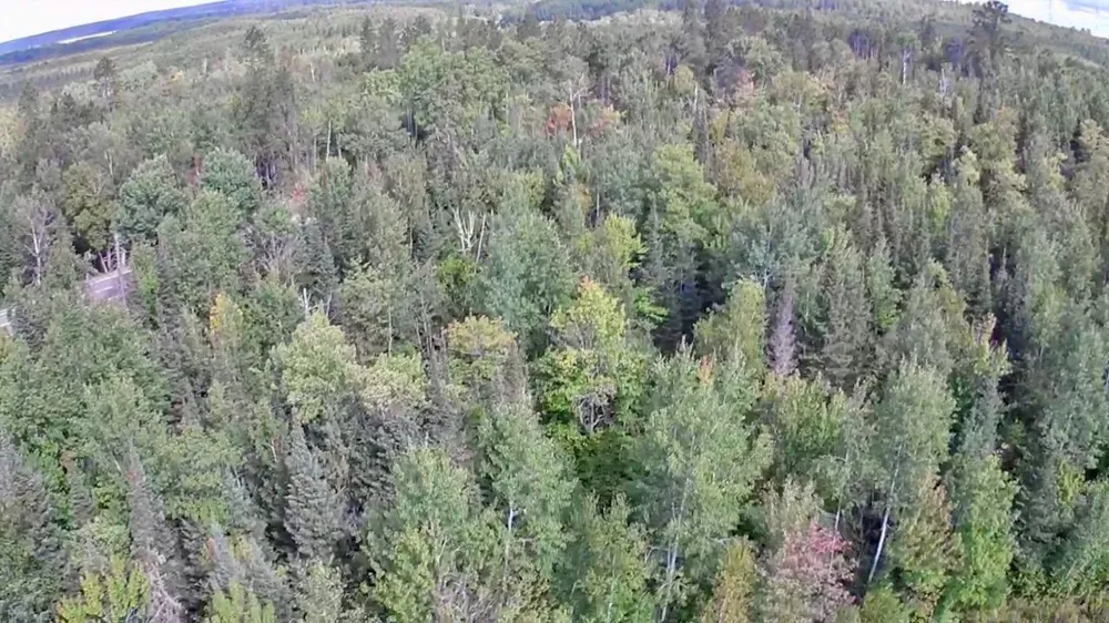 4704 Highway 169 Ely, MN 55731