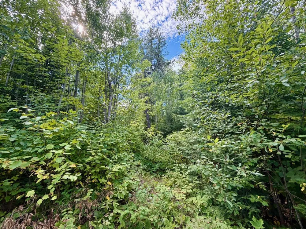 4704 Highway 169 Ely, MN 55731
