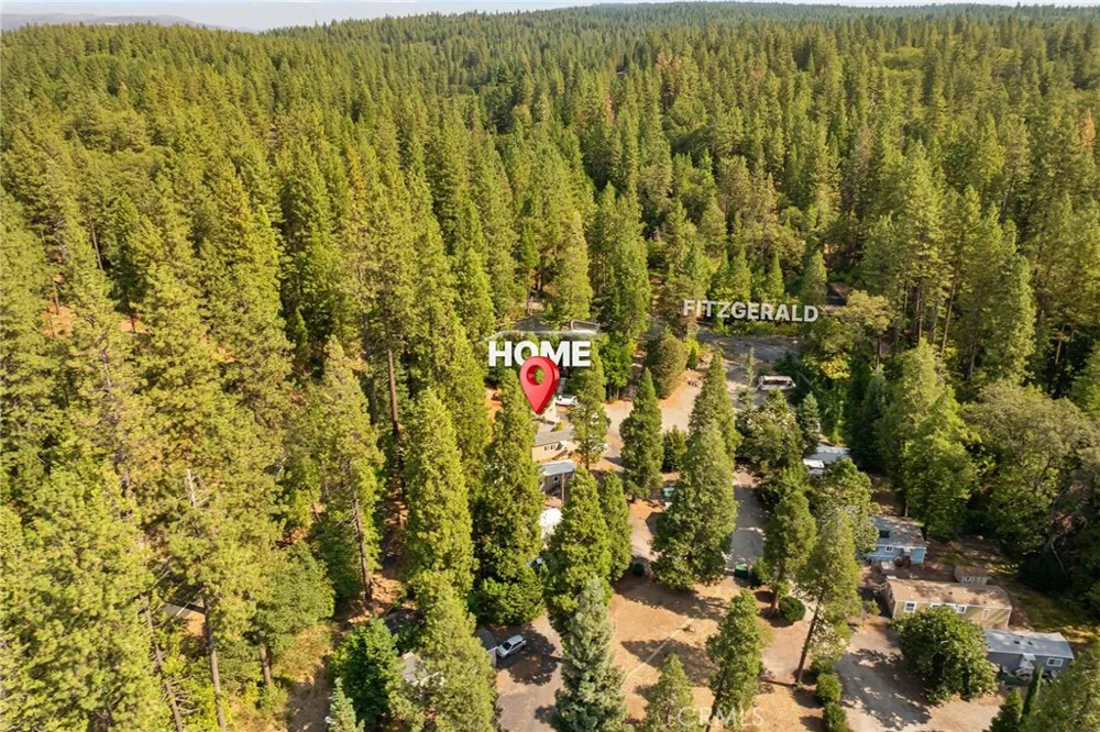 15614 Fitzgerald Drive #19 Forest Ranch, CA 95942