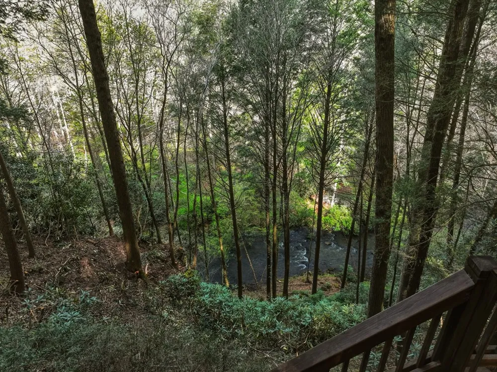 58 River Road Cherry Log, GA 30522
