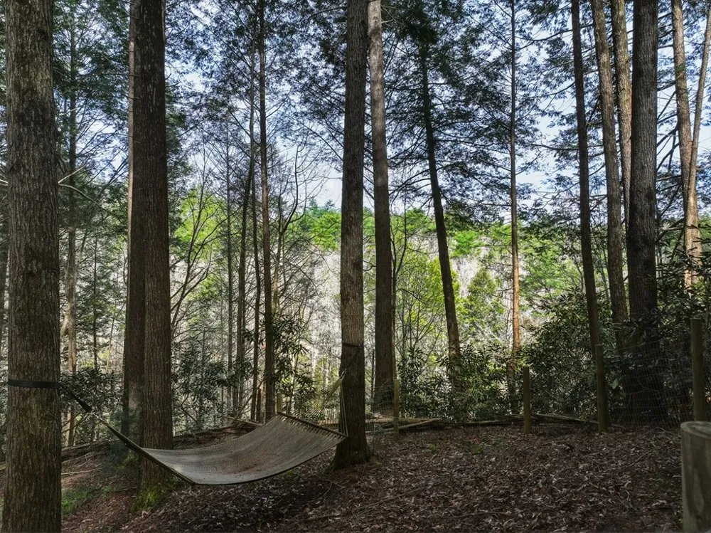58 River Road Cherry Log, GA 30522