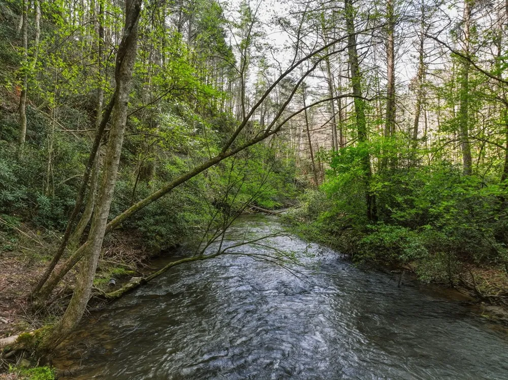 58 River Road Cherry Log, GA 30522