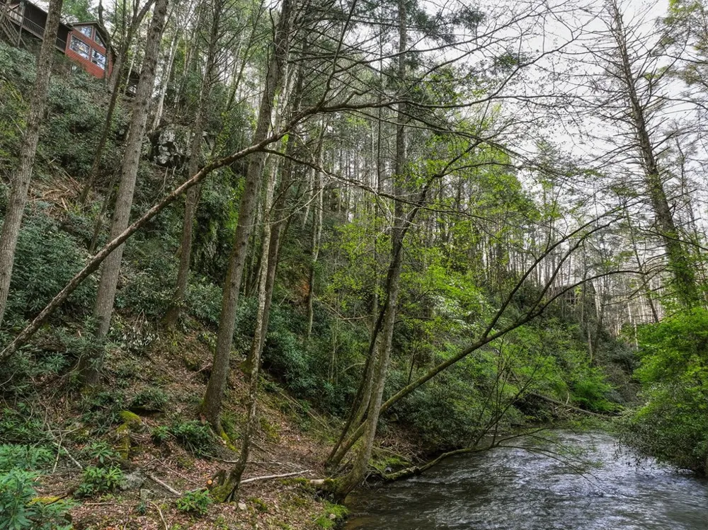 58 River Road Cherry Log, GA 30522