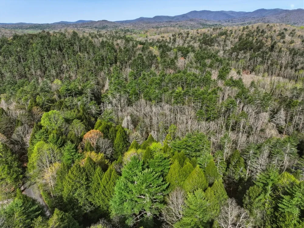 58 River Road Cherry Log, GA 30522