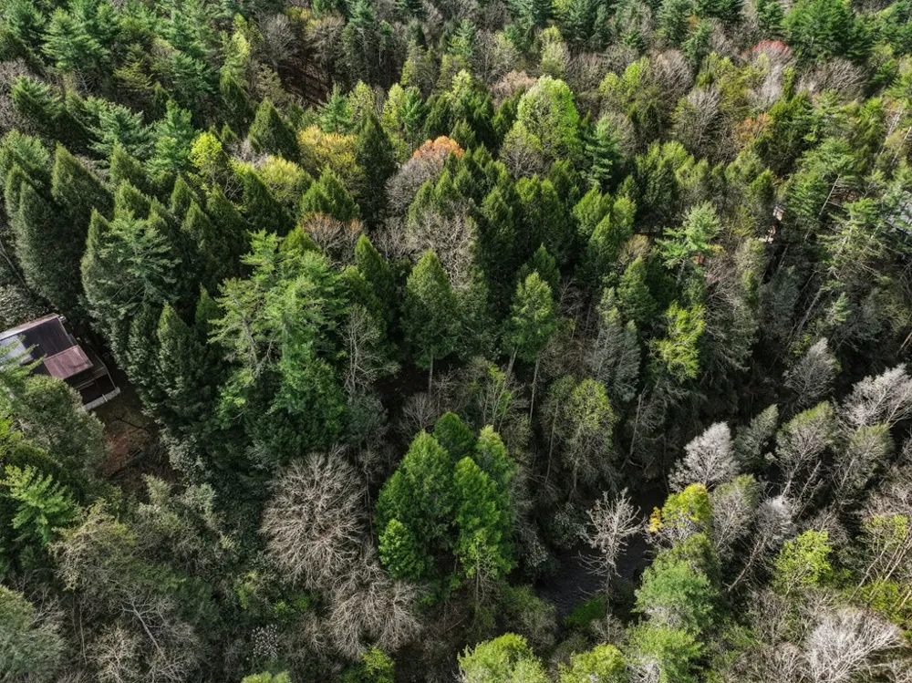 58 River Road Cherry Log, GA 30522