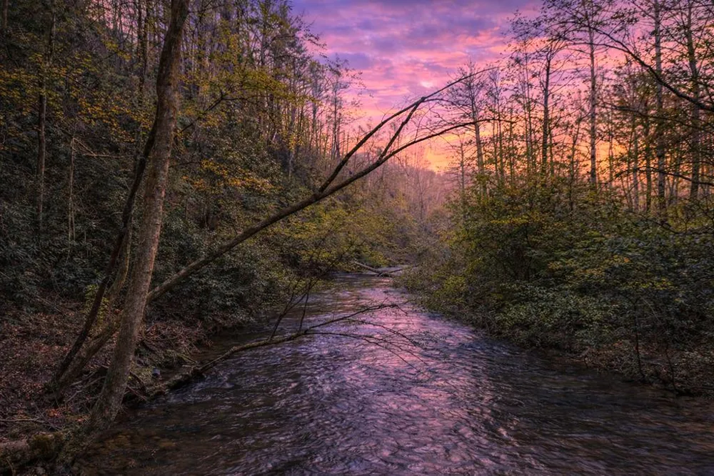58 River Road Cherry Log, GA 30522
