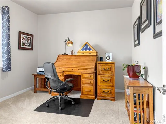 257 Hillspire Drive Windsor, CO 80550
