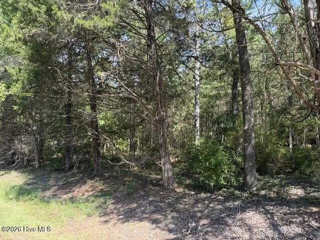 462 Amaryllis Drive Sparta, GA 31087