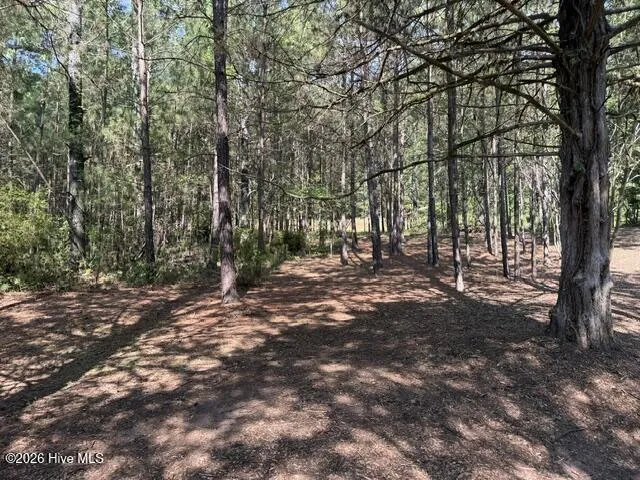 462 Amaryllis Drive Sparta, GA 31087
