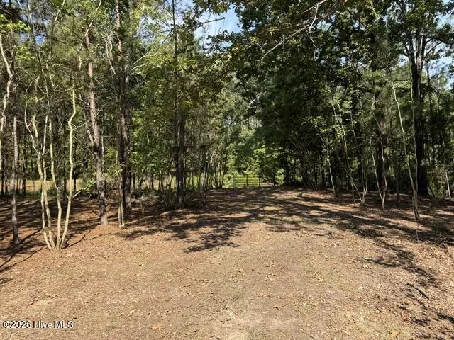 462 Amaryllis Drive Sparta, GA 31087