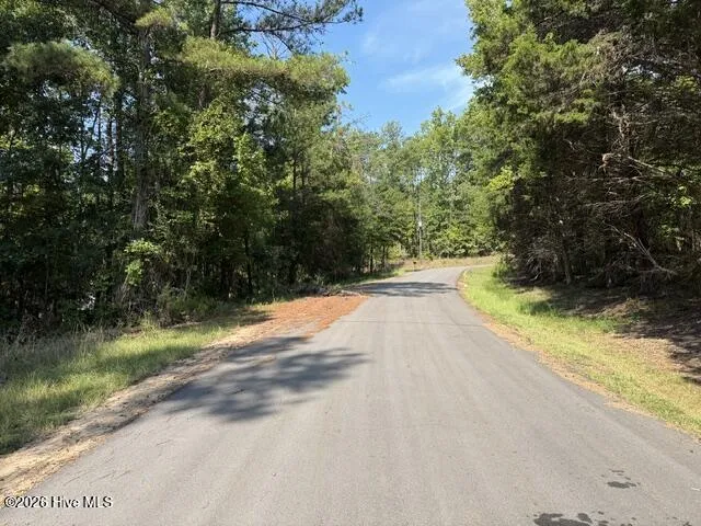 462 Amaryllis Drive Sparta, GA 31087