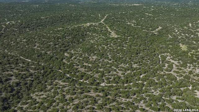 0 Deer Canyons Ranch East Rocksprings, TX 78880