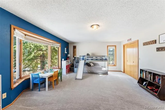 18360 Trail West Drive Buena Vista, CO 81211